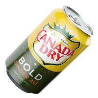 CANADA DRY GINGER ALE BOLD 355ML